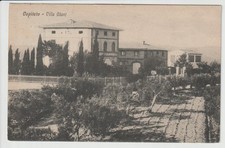 1927 -ANTICA CARTOLINA DI PONTASSIEVE - FIRENZE - ACONE - CAPITETO - VILLA GIANI