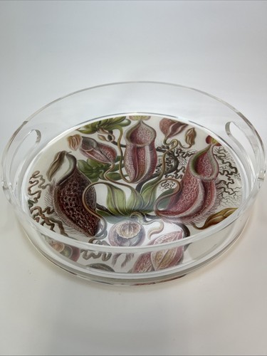 Lucy lucite vassoio - vassoio, da