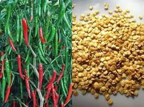 Semi peperoncino rossi - semi,
