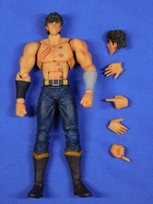 PUGNO DELLA STELLA DEL NORD