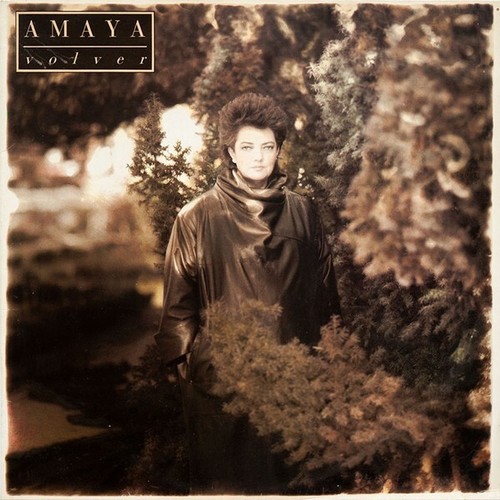 Amaya volver 33 - volver,