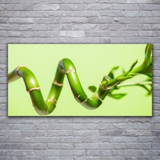 Stampa su tela Wall art su quadro 120x60 bambù floreale