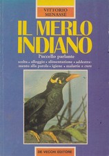 🔴 VITTORIO MENASSE - IL