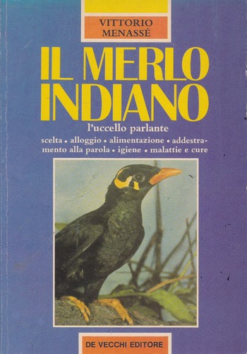 Vittorio menasse il - vittorio,