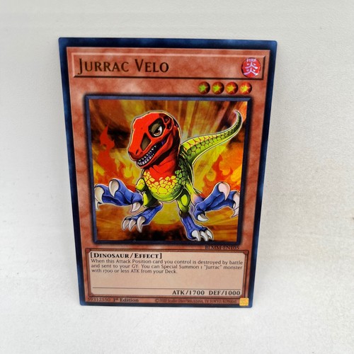 Jurrac velo blmm - jurrac, blmm-en105