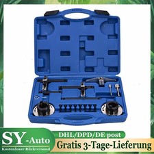 Cinghia Distribuzione