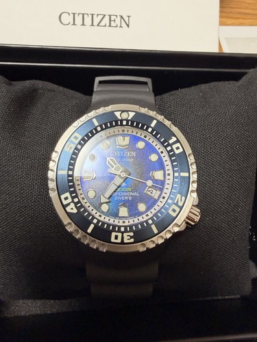 Citizen promaster bn1025 08l - promaster,