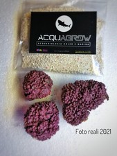 New!Kit Starter Avviamento