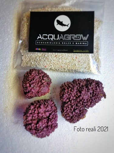 New kit starter avviamento - new!kit,