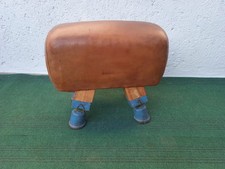 Vecchia Cavallina Palestra