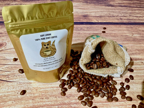 Caffè grani kopi luwak - in,