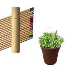 SET 32 MATITE PIANTABILI CON SEMI HB ECOLOGICHE IN LEGNO IDEA REGALO BAMBINI