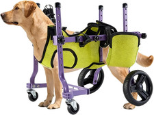 Sedia rotelle per cani - rotelle,