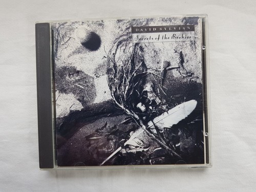 David sylvian secrets the - of,