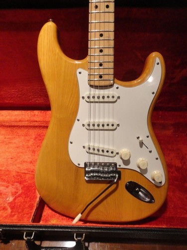 Fender stratocaster 100 - stratocaster, 100%