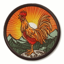 Toppa pollo ferro stiro - toppa,