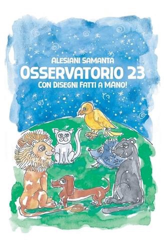 Osservatorio con disegni - con,