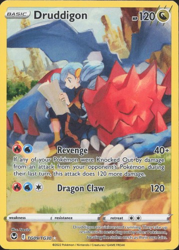 Pokemon druddigon tg09 tg30 - pokemon,