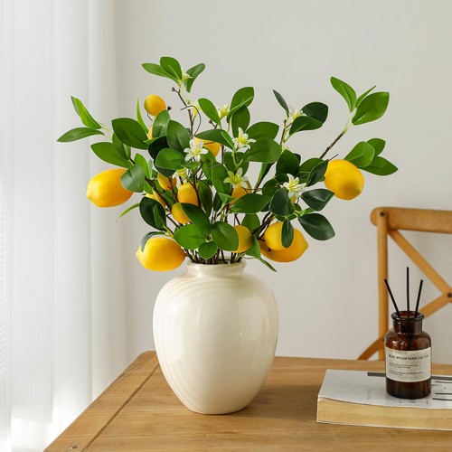 Mazzi rami limone - rami,