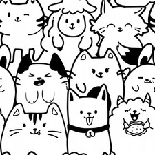 Pellicola Finestra Solare