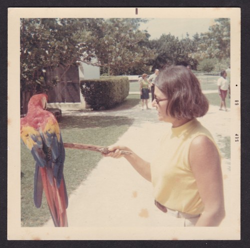 Vintage c1968 colour snapshot - c1968,