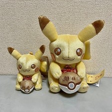 Pokemon 30° Anniversario