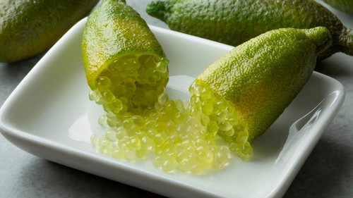 Citrus limon finger lime - citrus,