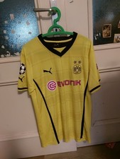 Borussia dortmund 2013 - dortmund, 2013-2014