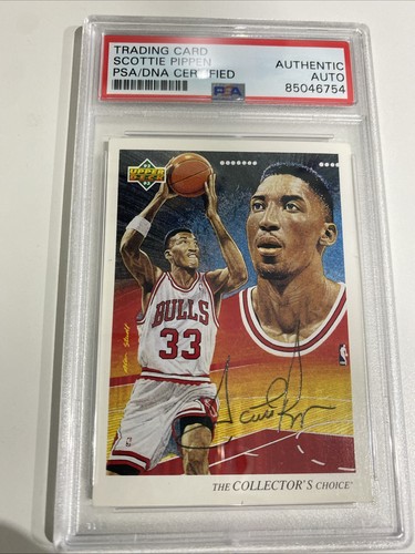 Scottie pippen signed bulls - signed,