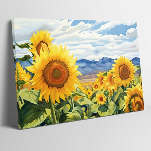 Splendido campo girasoli - campo, di