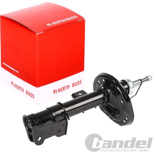 Ammortizzatore pressione gas
