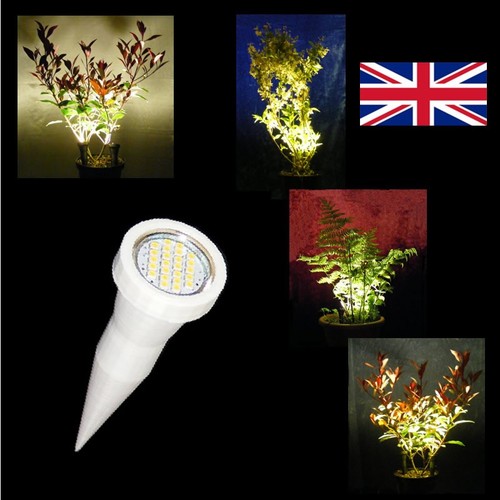 Illuminatore led punta in - illuminatore,