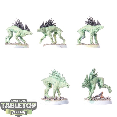 Tau empire kroot hounds - empire,