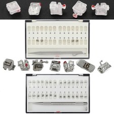 Staffe ortodontiche passive