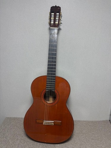 Chitarra acustica masaru - chitarra,