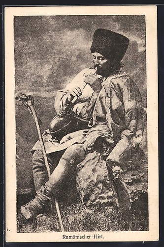 Cartolina pastore rumeno - cartolina,