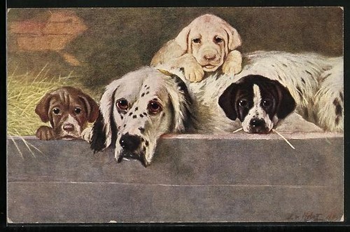 Cartolina gioia della - gioia,