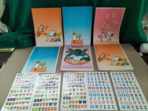 Lotto quaderni grandi - a4, a