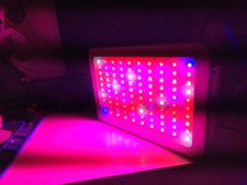 Lampada LED 300W Growledlamp