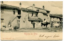 1902 Marina di Pisa Colonic