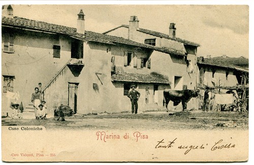 1902 marina pisa case - marina,