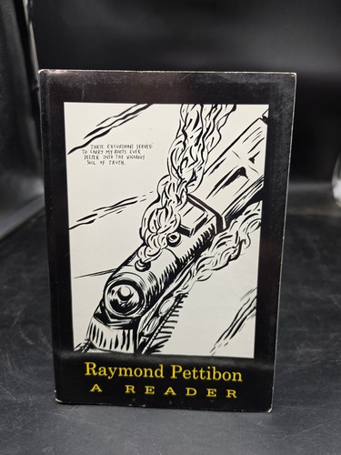 Raymond pettibon reader - reader,