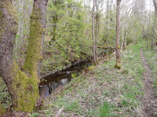 Photo 6x4 skeldon - photo, mill