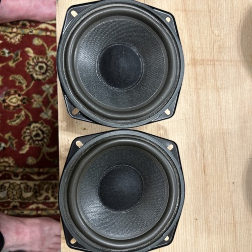 Coppia woofer altoparlanti - coppia,