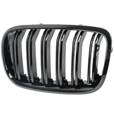 Griglia renale doppio ponte