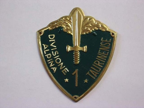Scudetto braccio divisione - scudetto,