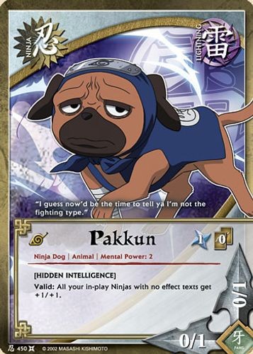 Pakkun foil - foil,