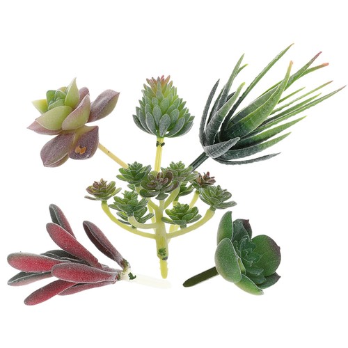Pcs succulenta artificiale - ,
