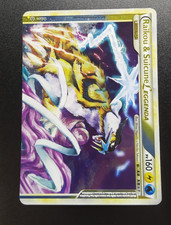 Raikou & Suicune Leggenda Full