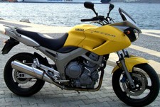 Yamaha TDM 900 Manuale
